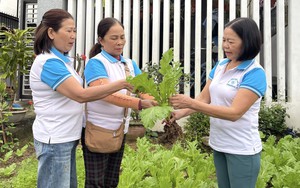 Góp ý dự thảo văn kiện Đại hội XIV của Đảng: Bảo vệ môi trường – nhiệm vụ trung tâm phát triển bền vững của Việt Nam