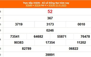 XSDN 12/11 - Kết quả xổ số Đồng Nai hôm nay 12/11/2025 - Trực tiếp XSDN ngày 12 tháng 11
