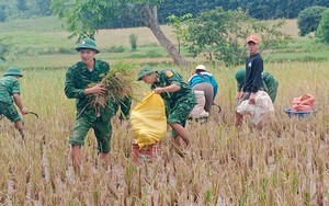 Thủ tướng Chính phủ yêu cầu tập trung khôi phục sản xuất kinh doanh, ổn định đời sống nhân dân sau bão lũ​