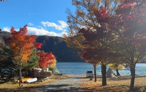  Mùa thu Phú Sĩ - Lá đỏ về sớm trong hơi lạnh đầu đông