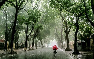 Dự báo thời tiết ngày và đêm 8/9/2023: Hà Nội có mưa rào và dông