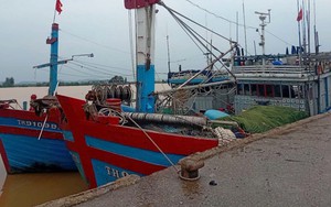 Thanh Hóa kiểm soát chặt chẽ đội tàu cá, nỗ lực khắc phục "thẻ vàng" IUU"