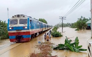 Tạm dừng nhiều chuyến tàu ngày 20/11 do mưa lũ tại miền Trung