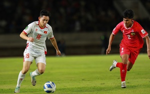 Đội tuyển Việt Nam và tiêu chuẩn kép