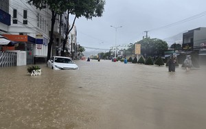 Tình hình mưa lũ tại Khánh Hòa diễn biến hết sức phức tạp và khẩn cấp