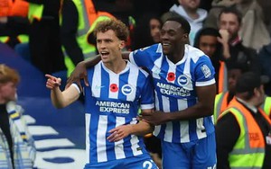 Nhận định, soi tỷ lệ Brighton vs Brentford 22h hôm nay ngày 22/11, Premier League