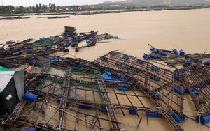 Lồng bè nuôi trồng thủy sản tại Đắk Lắk tan hoang do mưa lũ
