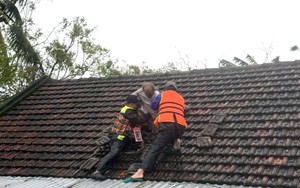 Chính quyền địa phương cùng các lực lượng căng mình sơ tán dân và cứu nạn