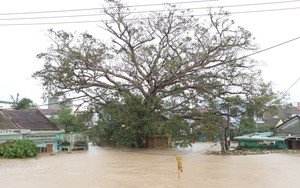 Mưa lũ miền Trung - Tây Nguyên: 68 người chết và mất tích với thiệt hại hơn 8.980 tỷ đồng