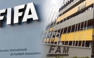 LĐBĐ Malaysia đối mặt hậu quả nghiêm trọng khi thách thức FIFA về vụ gian lận nhập tịch