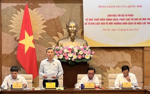 Hoàn thiện hệ thống pháp luật về môi trường theo tinh thần Nghị quyết 66 - NQ/TW