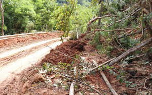 Khánh Hòa công bố tình huống khẩn cấp về thiên tai do mưa lũ kéo dài