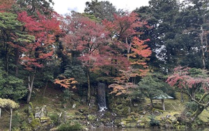 Kenrokuen - Một trong những khu vườn đẹp nhất Nhật Bản vào mùa Thu