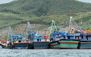 Bão số 15: Đắk Lắk ban hành lệnh cấm biển