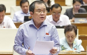 Kỳ họp thứ 10, Quốc hội khóa XV: Chuyển đổi số trong thực hiện điều ước quốc tế