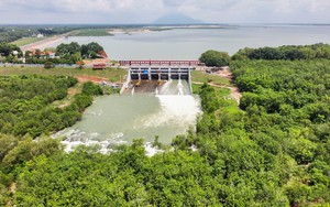 Chuẩn bị kịch bản, đảm bảo an toàn cho vùng hạ du hồ Dầu Tiếng trước bão số 15