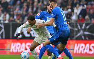 Nhận định, soi tỷ lệ Hoffenheim vs Augsburg 21h30 hôm nay ngày 29/11, vòng 12 Bundesliga