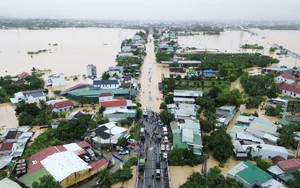 Khắc phục hậu quả thiên tai với di tích tại các tỉnh Gia Lai, Đắk Lắk, Khánh Hòa, Lâm Đồng
