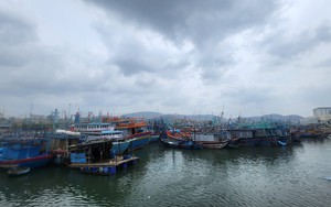 Bão số 15 hướng về bờ biển phía Đông tỉnh Gia Lai - Đắk Lắk