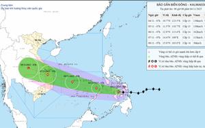 Thủ tướng Chính phủ yêu cầu chủ động phòng, tránh, ứng phó với bão KALMAEGI