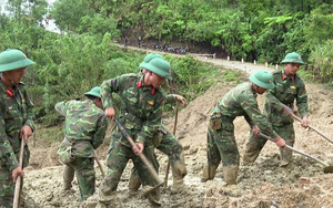 Tổ chức và hoạt động của Cổng Thông tin điện tử Ban Chỉ đạo Phòng thủ dân sự quốc gia