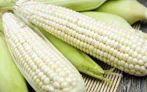 Chữ và nghĩa: Từ "ngô" đến "bắp"