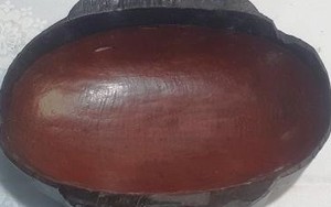 Văn hóa Đông Sơn - Chiến tranh và Hòa bình (kỳ 36): Những công cụ lạ kỳ trong mộ thân cây Đông Sơn