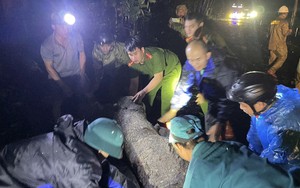 Lực lượng chức năng Đắk Lắk khẩn trương khắc phục hậu quả bão số 13 trong đêm