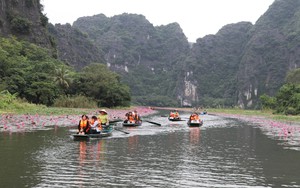 Mùa hoa súng nơi miền di sản