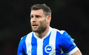 Nhận định, soi tỷ lệ Crystal Palace vs Brighton 21h hôm nay ngày 9/11, Ngoại hạng Anh vòng 11