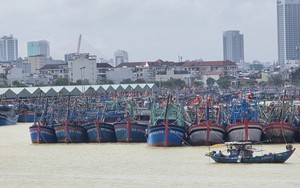 Theo dõi chặt chẽ tàu, thuyền đang hoạt động trên biển trước bão FUNG-WONG