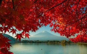 Vẻ đẹp ngỡ ngàng của núi Phú Sĩ mùa Thu