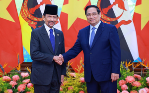 Thủ tướng Phạm Minh Chính hội kiến Quốc vương Brunei