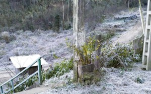 Xuất hiện băng giá, Bộ đội Biên phòng hỗ trợ người dân vùng cao phòng, chống rét