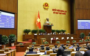 Kỳ họp thứ 10, Quốc hội khóa XV: Thông qua Luật An ninh mạng và các luật về an ninh, quốc phòng