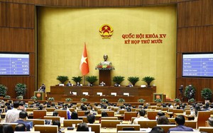 Quốc hội thông qua các luật, nghị quyết liên quan lĩnh vực giáo dục, báo chí