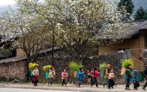 423.000 tỷ đồng cho Chương trình mục tiêu giảm nghèo vùng đồng bào dân tộc thiểu số