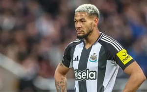 Nhận định, soi tỷ lệ Sunderland vs Newcastle 21h hôm nay ngày 14/12, Premier League