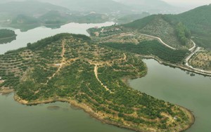 Dự báo thời tiết ngày 14/12: Bắc Bộ trời rét đậm, có nơi rét hại