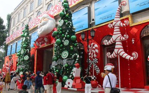 Rộn ràng không khí Giáng sinh 2025 tại TP HCM