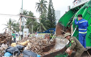 TP HCM đã phân phối 250 tỷ hỗ trợ đồng bào bị thiên tai