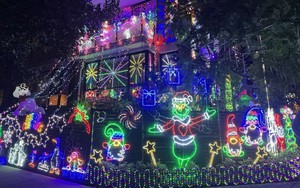 Giáng sinh rực rỡ sắc màu tại "xứ sở Chuột túi"