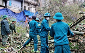 Chiến dịch Quang Trung: Quảng Trị thần tốc xây dựng, sửa chữa nhà để người dân đón Tết