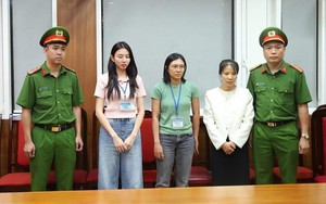 Nhìn lại việc những nghệ sĩ, người nổi tiếng "nhúng chàm" trong năm 2025