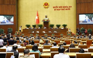 Kỳ họp thứ 10, Quốc hội khóa XV: Phân cấp mạnh mẽ và có lộ trình phù hợp để tiếng Anh trở thành ngôn ngữ thứ hai