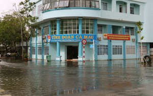 Đề phòng nguy cơ ngập do triều cường ở vùng trũng thấp ven biển Đông Nam Bộ