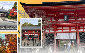 Mùa thu Kyoto - Sắc đỏ lan tỏa trên những di sản cổ kính 