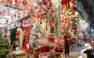 Thị trường Noel 2025: Đa dạng chủng loại, mặt hàng, cây thông hút khách