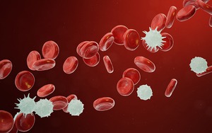 Đột phá tước bỏ thành công "lớp khiên đường" của tế bào ung thư