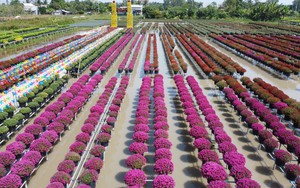 Vì một miền quê đáng sống: Thăm làng hoa lớn nhất miền Tây